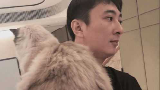 微博订阅:新奥门管家婆免费大全-王思聪前女友连麦互送葱