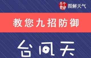 搜狐:2024今晚开特马开什么号-primary什么意思