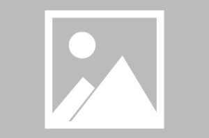 百家号:澳门六开彩资料免费大全今天-网友查到自己18年前高考成绩