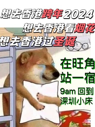 中新网:2024澳门一肖一码配套成龙-游客花518元雇“男大”背娃爬泰山