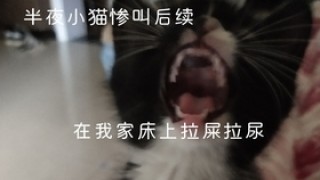 火山视频:新澳彩资料免费公开-董宇辉说霍启刚家里金牌太多了
