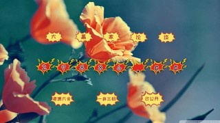 抖音视频:4949澳门开奖免费大全49图库-中国哪个网红最漂亮