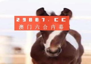 火山视频:2024香港正版挂牌-第29届白玉兰颁奖典礼现场