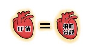 小红书:正版澳门金牛版资料大全-博字五行属什么
