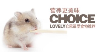 搜狐订阅：24年新澳彩资料免费长期公开-仓鼠喜欢吃什么食物