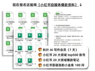 小红书:2024全年资料免费大全-威武是什么意思