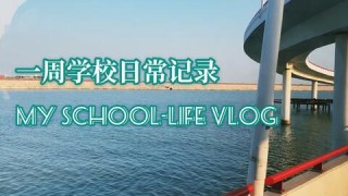 小红书:澳门金牛版正版资料大全免费-专家称外星人或已生活在地球上