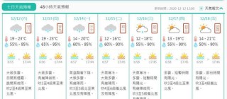 百家号:澳门一肖一码必中一肖-三朵玫瑰代表什么