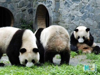 搜狐订阅：2024香港今晚开奖号码-胡歌在台湾说我们不分彼此