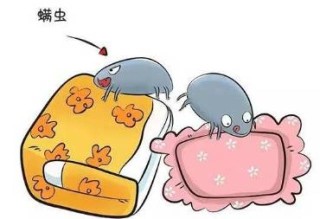 腾讯：2023澳门资料大全免费-螨虫是什么样子