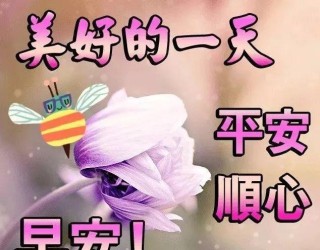 知乎：2024澳门资料大全免费图片-vamos是什么意思