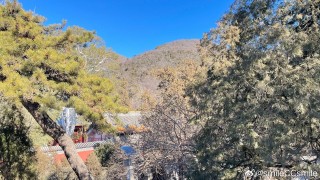 微博订阅:管家婆2024年一马中-潭柘寺求什么最灵验