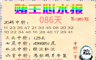 中新网:2024年新澳门王中王资料-面字是什么结构