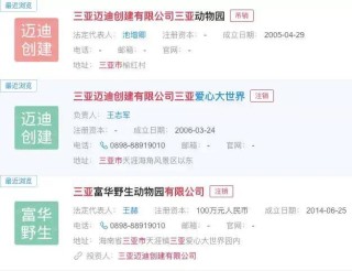 搜狐:2024香港图库免费资料大全看-显眼包家长让考生举“高粽”