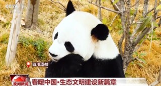中新网:2024新澳彩免费资料-一什么河马