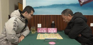 搜狐订阅：2024澳门正版平特一肖-中国象棋“第一人”王天一被调查