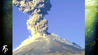 火山视频:2024新澳彩料免费资料-山东新泰辟谣“出现地震前兆”