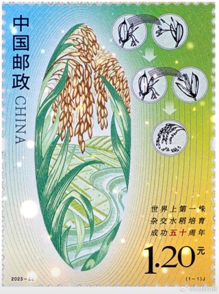 微博:澳门一码中精准一码免费中特-杂交水稻什么时候问世
