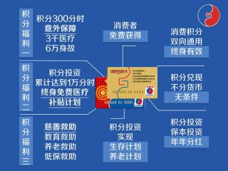 搜狐订阅：2024香港正版挂牌-福宝是第一个把笋剥干净吃的大熊猫