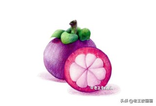 网易:2024正版资料大全免费-山竹为什么那么贵