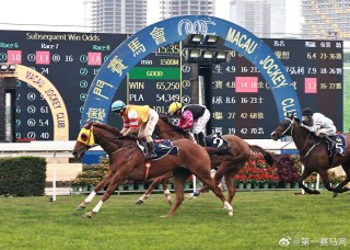 搜狐订阅：新奥六开彩资料2024-德外长：中东爆发全面战争风险增加