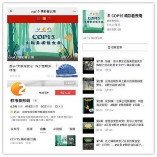 抖音视频:4949澳门彩开奖结果生肖版-加鸡腿什么意思