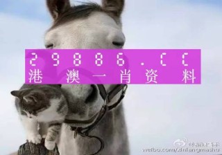 知乎：7777788888一肖一码-mario是什么意思