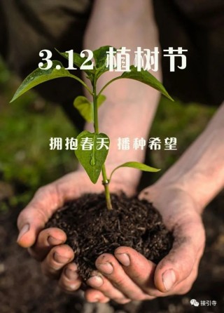 微博:2024澳门今天晚上开什么生肖-桂皮是什么树的皮