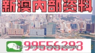 中新网:2024正版资料大全免费-20度穿什么衣服合适