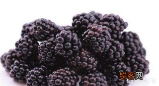 百度平台:澳门王中王100%资料2023-胃疼可以吃什么水果