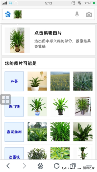 中新网:新奥彩2024年免费资料查询-女子爬山时发现“黑竹子”