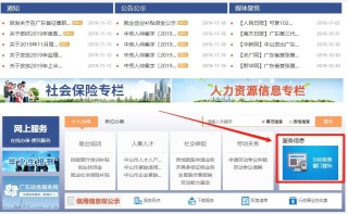 搜狐订阅：2024澳门资料正版全年免费-机场接人怎么接