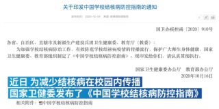 搜狐订阅：2024澳门资料正版全年免费-机场接人怎么接