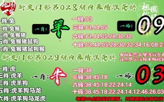 网易:澳门今晚必中一肖一码-南油小学怎么样