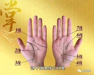 抖音视频:澳门三肖三码期期准免费资料澳门-美主持人含泪委婉表示拜登应退选