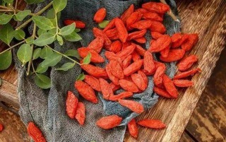 百度平台:2024澳门免费精准资料大全-肾阴虚吃什么食物