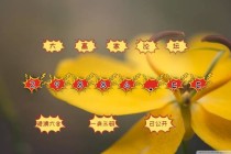 搜狗订阅:4949澳门资料免费大全高手-哪个网站能看诺丁山