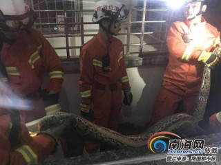 百家号:澳门三肖三码期期准免费资料澳门-刘亦菲谈黄亦玫的四段感情经历