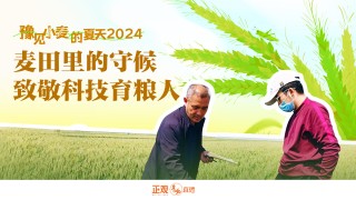 抖音视频:2024年奥门特马资料图59期-老人担心下雨凌晨三点路边收麦