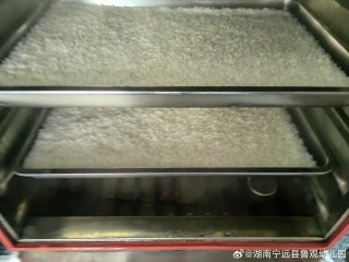 微博:4949退库-资料香港2024-丝苗米是什么米