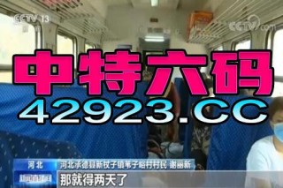 中新网:新澳门精准资料大全管家婆料-“广茂线57139列车倾覆”系假消息