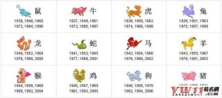 网易:马会香港7777788888-1985年属什么生肖