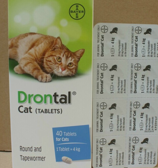 知乎：香港期期准资料大全-猫咪拉稀吃什么药