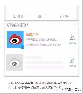 微博:494949cc澳门精准一肖-福宝在中国“受虐”？官方辟谣  第3张