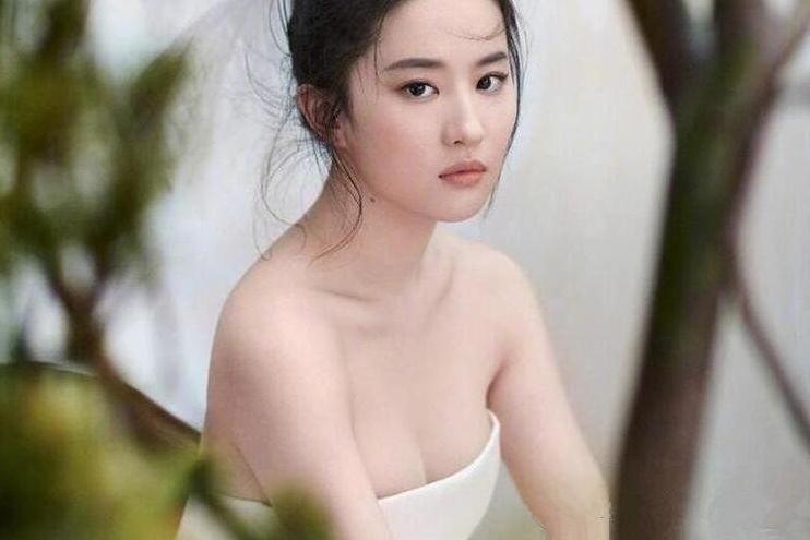 网易:2023澳门管家婆资料正版大全-《玫瑰的故事》刘亦菲林更新婚姻观  第1张