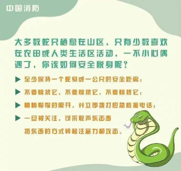 阿里巴巴:2024澳门资料大全正版资料免费-棚改小面积能换更大平方？谣言  第2张