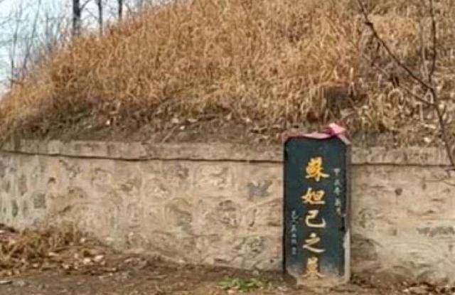 网易:4949澳门免费资料大全特色-南海两艘古代沉船揭开神秘面纱  第3张
