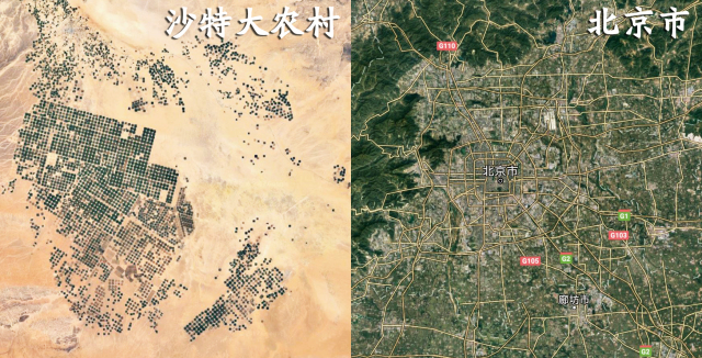 百家号:新澳门资料大全正版资料4不像-14名约旦公民在沙特朝觐时死亡  第1张