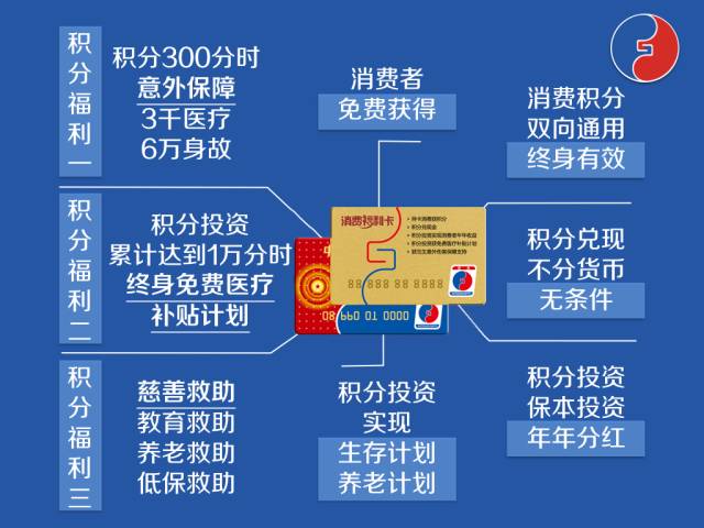 搜狐订阅：2024香港正版挂牌-福宝是第一个把笋剥干净吃的大熊猫  第3张