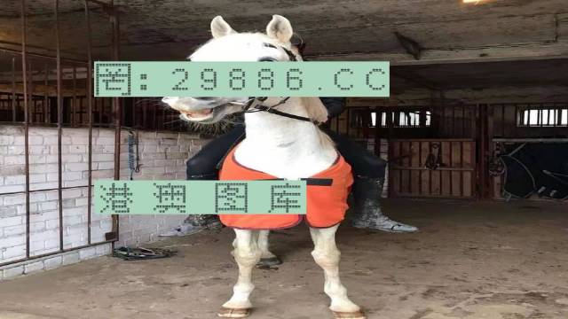 小红书:4949澳门今晚上开奖-外地车被困水中 长沙交警帮推车  第3张